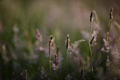 《上古卷轴5：天际重制版》高清材质包 所有地貌大修